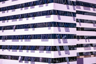 九游游戏中心-体育新闻中心建设体育数字内容版权保护体系，体育数据新闻